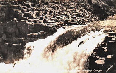 Early 1900s postcard view of salmon jumping Punchbowl Falls